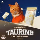  Pate cá ngừ PEPTIDE Alpha Pet 60g cho mèo 