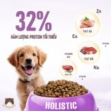  Thức ăn dinh dưỡng cho chó ANF Holistic 500g 