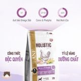  Thức ăn dinh dưỡng cho chó ANF Holistic 500g 