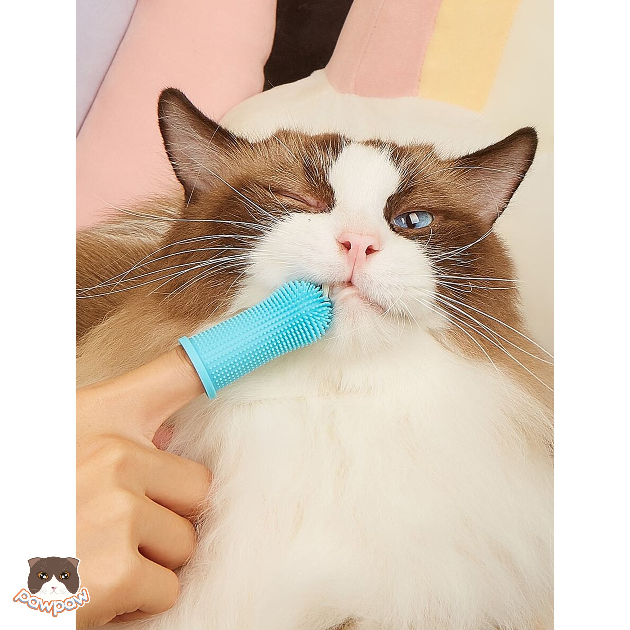  Bàn chải xỏ ngón cao su mềm đánh răng cho chó 