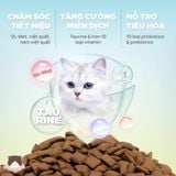  Hạt PetQ C90U Urinary hỗ trợ thận gói 1kg cho mèo mội độ tuổi 