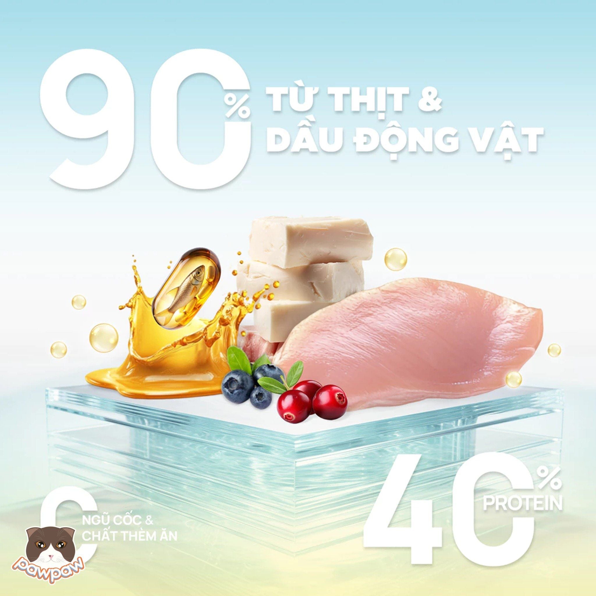  Hạt PetQ C90U Urinary hỗ trợ thận gói 1kg cho mèo mội độ tuổi 