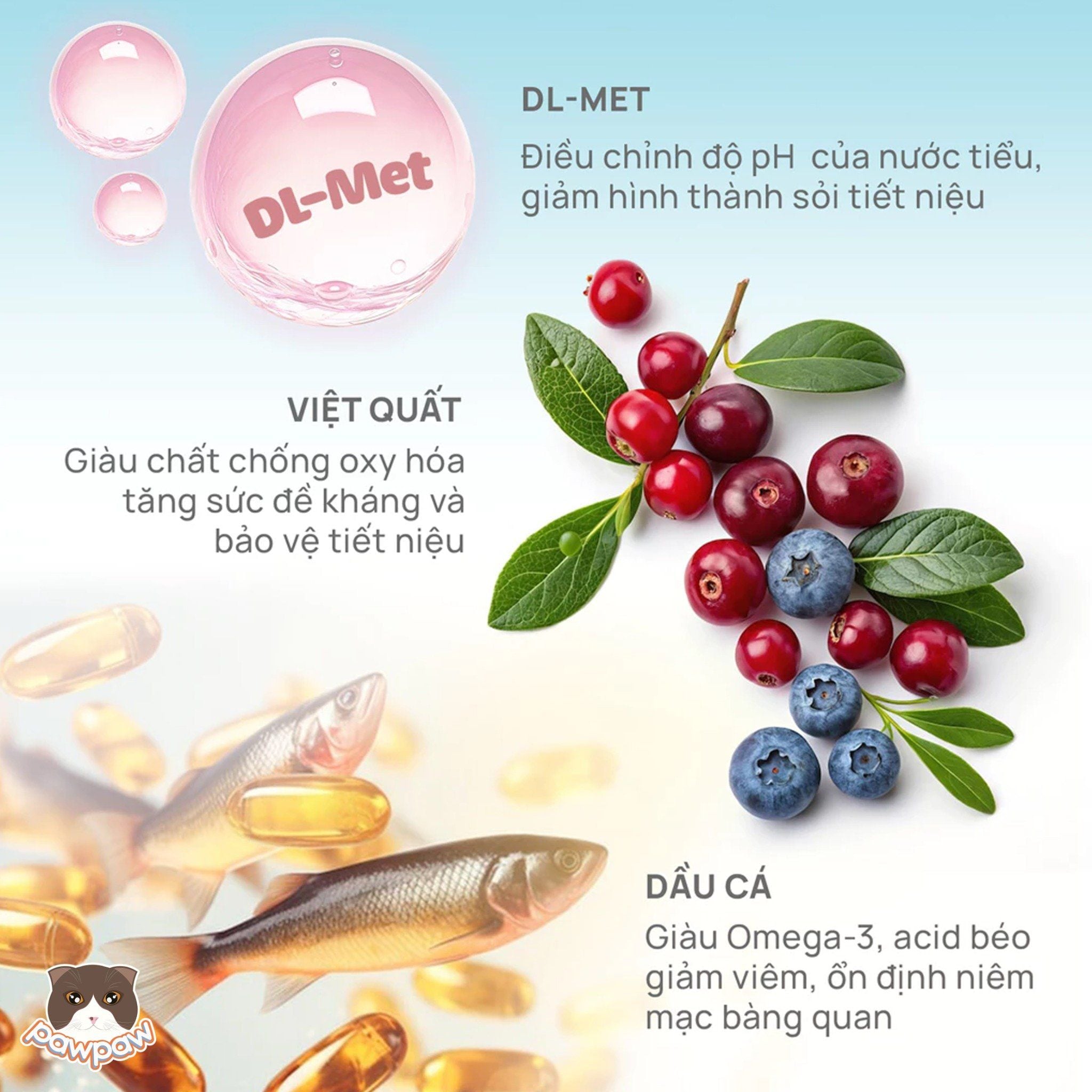  Hạt PetQ C90U Urinary hỗ trợ thận gói 1kg cho mèo mội độ tuổi 