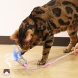  Cần câu lò xo lông vũ màu xanh trắng CattyMan 