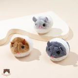  Đồ chơi chuột có dây kéo 