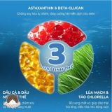  Thức ăn hỗn hợp hoàn chỉnh pate dạng hạt nổ cho mèo FAENBEI 70g 