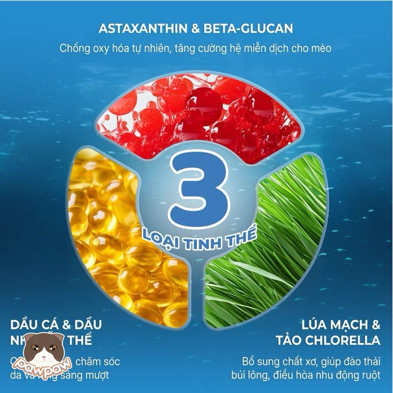  Thức ăn hỗn hợp hoàn chỉnh pate dạng hạt nổ cho mèo FAENBEI 70g 