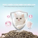  Thức ăn hỗn hợp hoàn chỉnh cho mèo con PetQ D90K 200g 