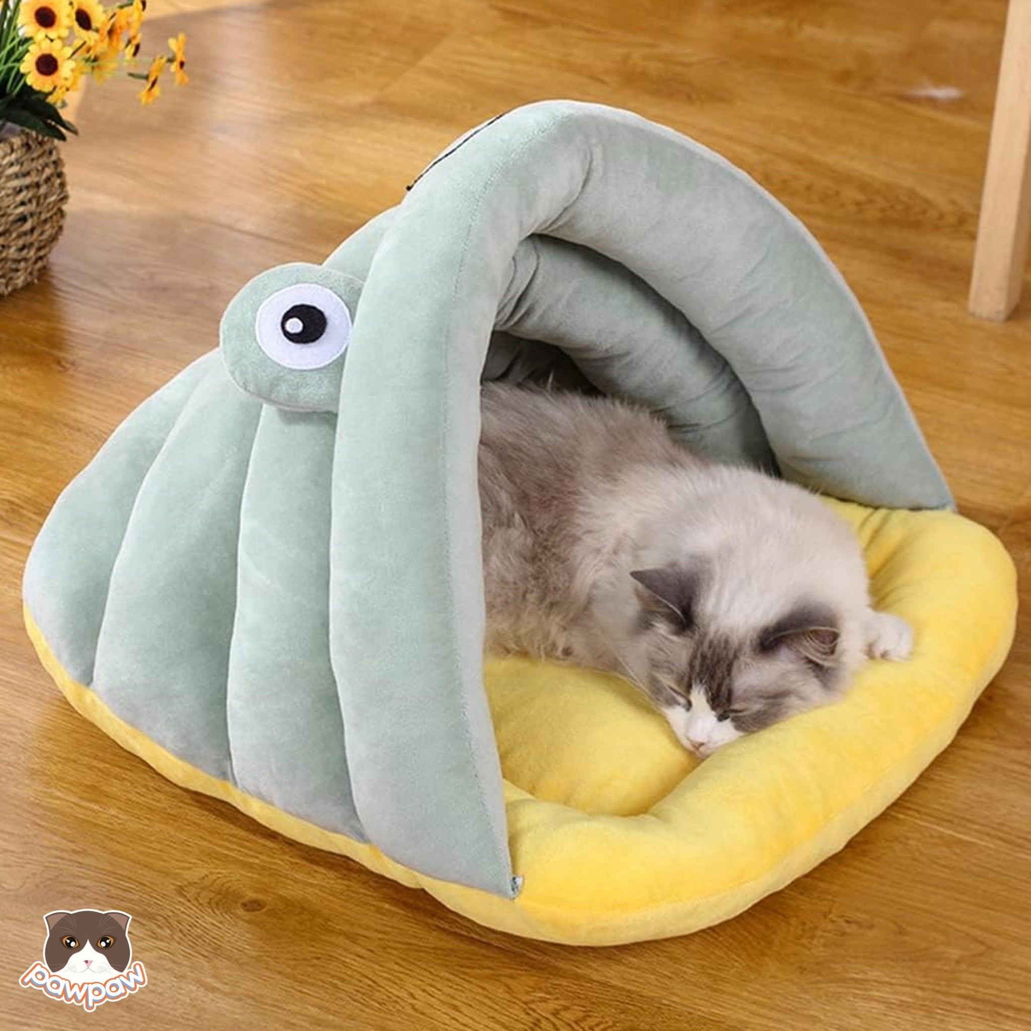  Đệm dép mắt ếch cho chó mèo 