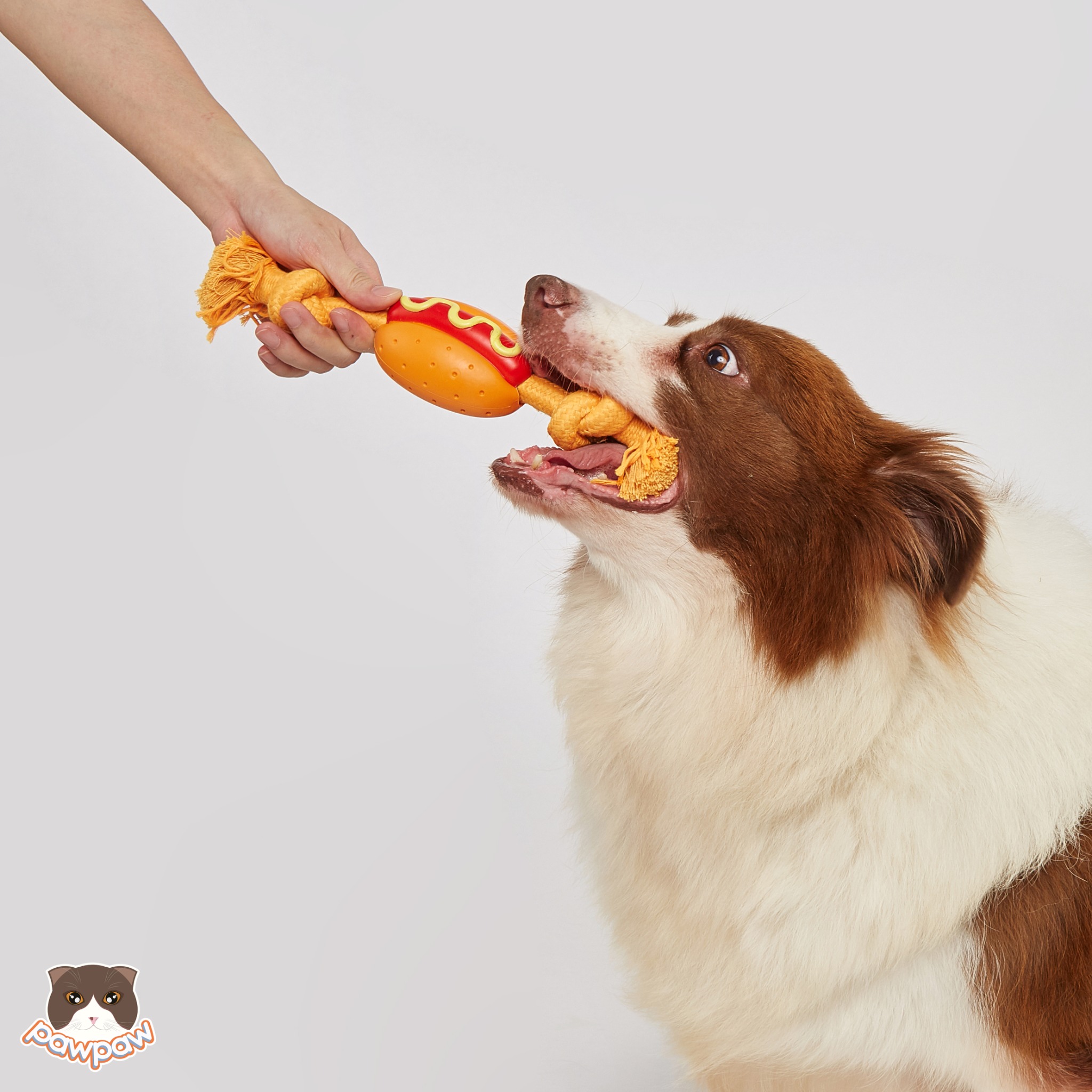  Đồ chơi cho chó FOFOS hình dây thừng Hot Dog 