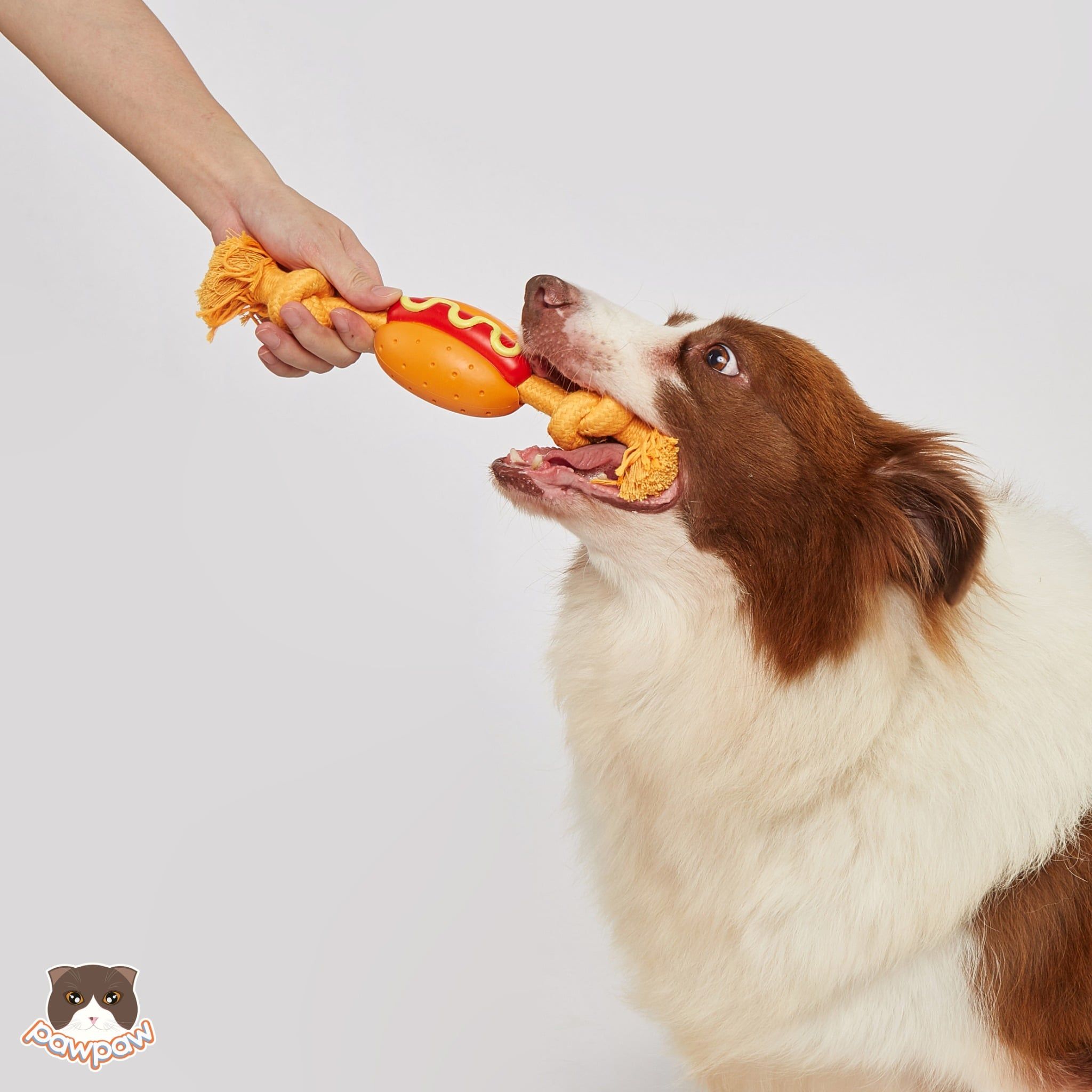  Đồ chơi cho chó FOFOS hình dây thừng Hot Dog 