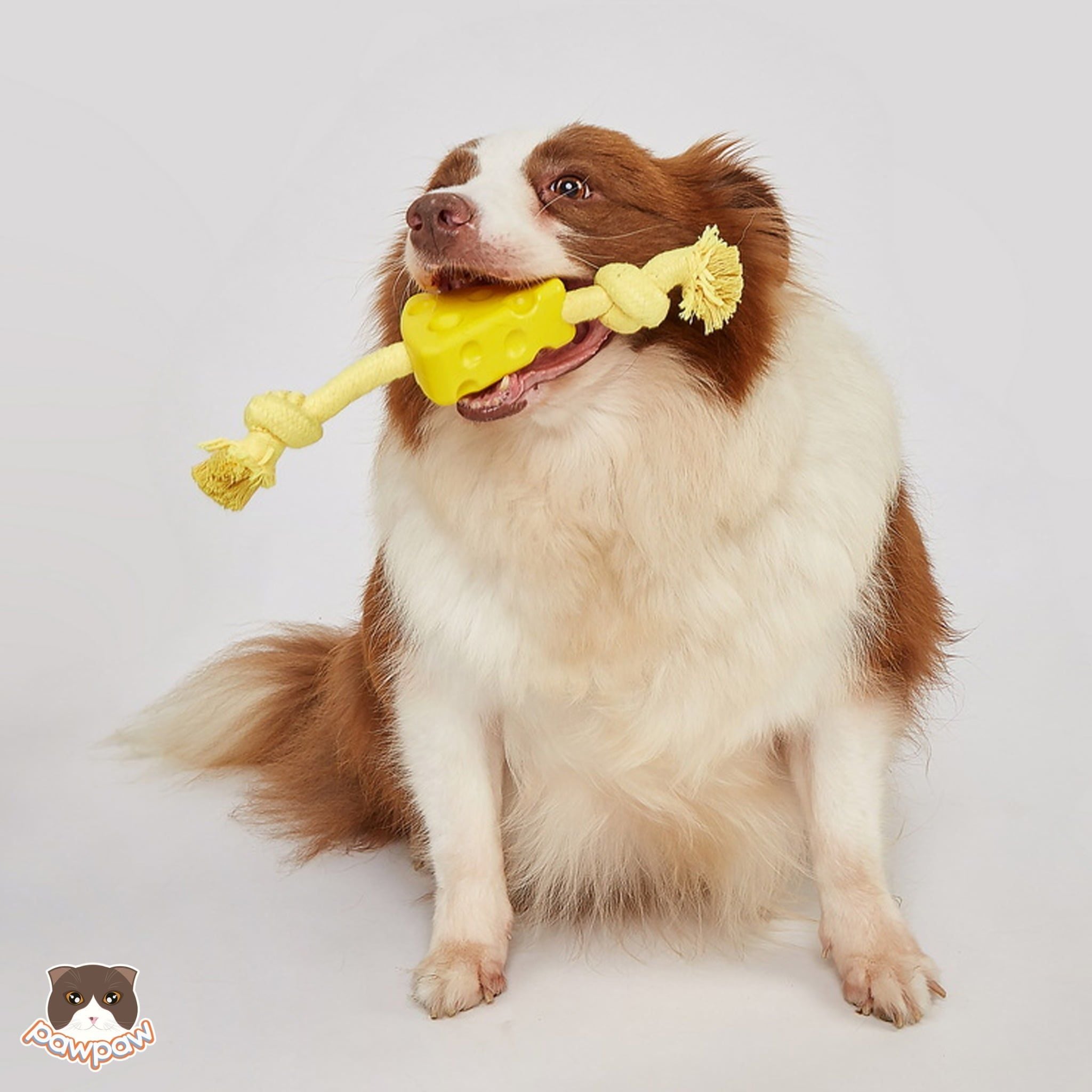  Đồ chơi cho chó FOFOS hình dây thừng Phô mai 