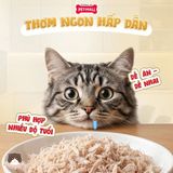  Ức gà hấp nước cốt gà xé nhỏ Cattyman 