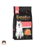  Thức ăn chó vị cá hồi Ganador Adult Salmon&Rice 3kg 