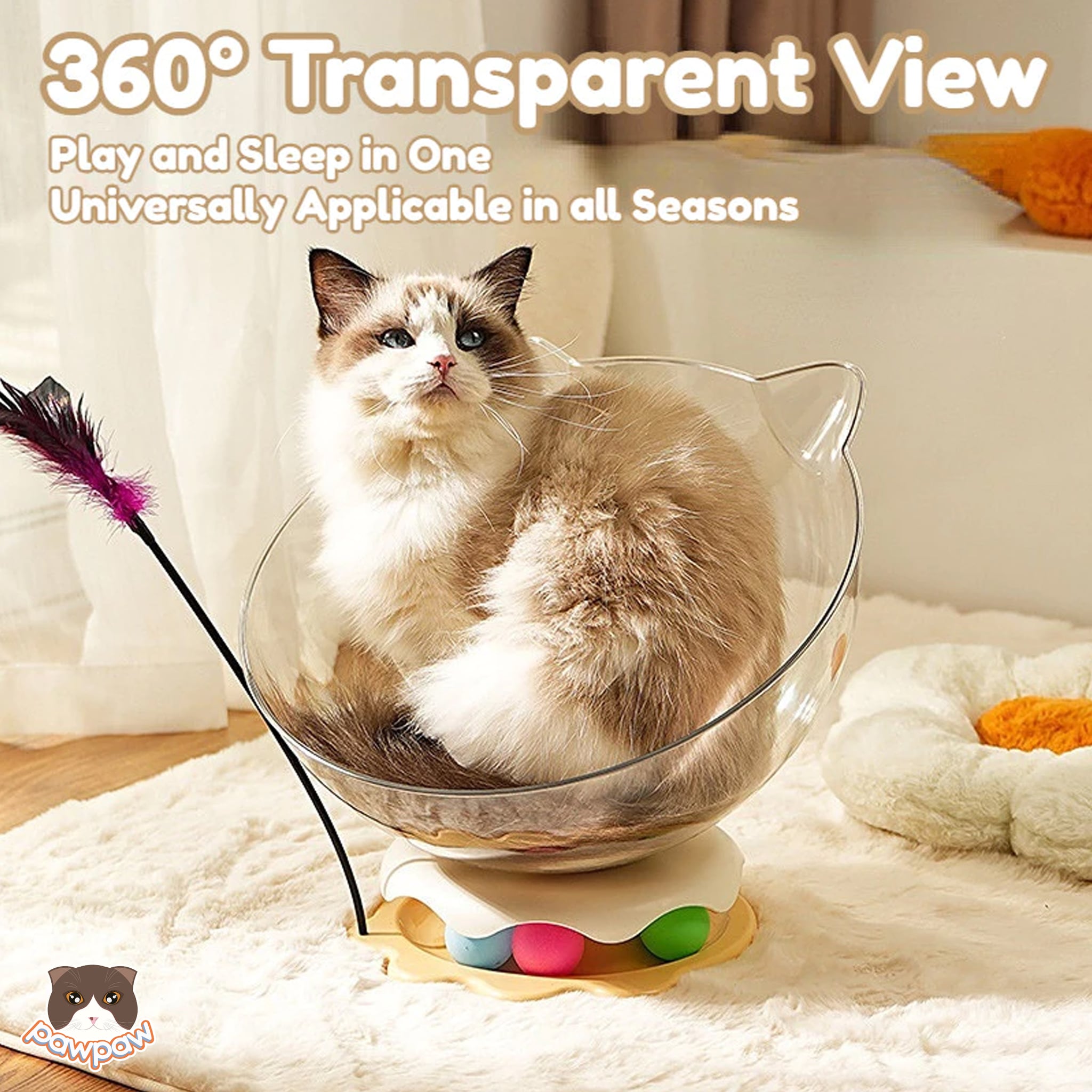  Giường trong suốt cho mèo 