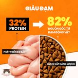 Thức ăn hạt ON25 hỗ trợ tiết niệu 3kg cho mèo 