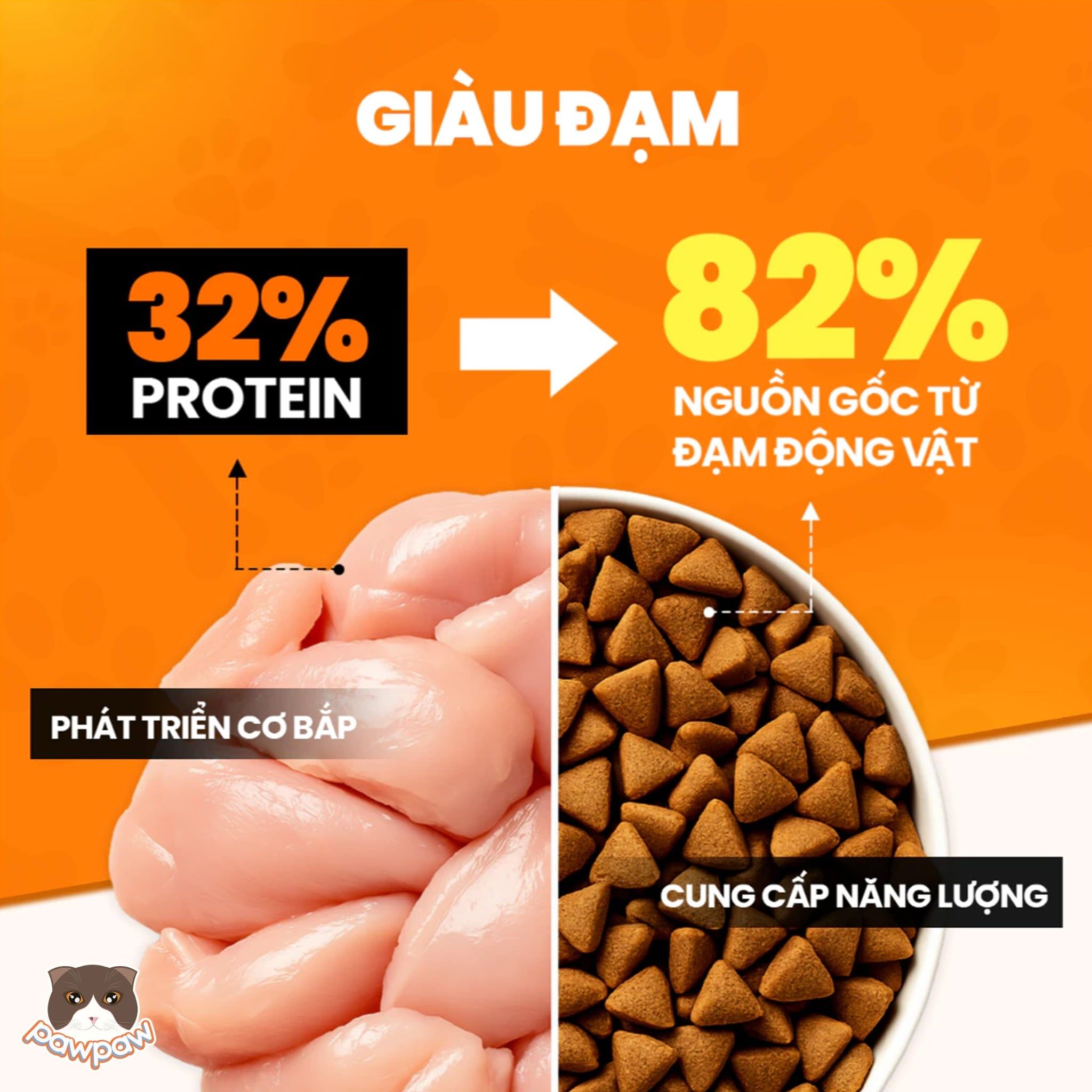  Thức ăn hạt ON25 hỗ trợ tiết niệu 3kg cho mèo 