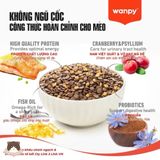  Hạt Wanpy grain free cho mèo 