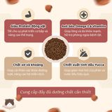  Hạt Healthy Choice 400g cho chó 