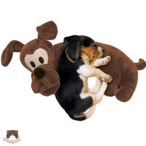  Gối dài cho chó cưng Doggyman 