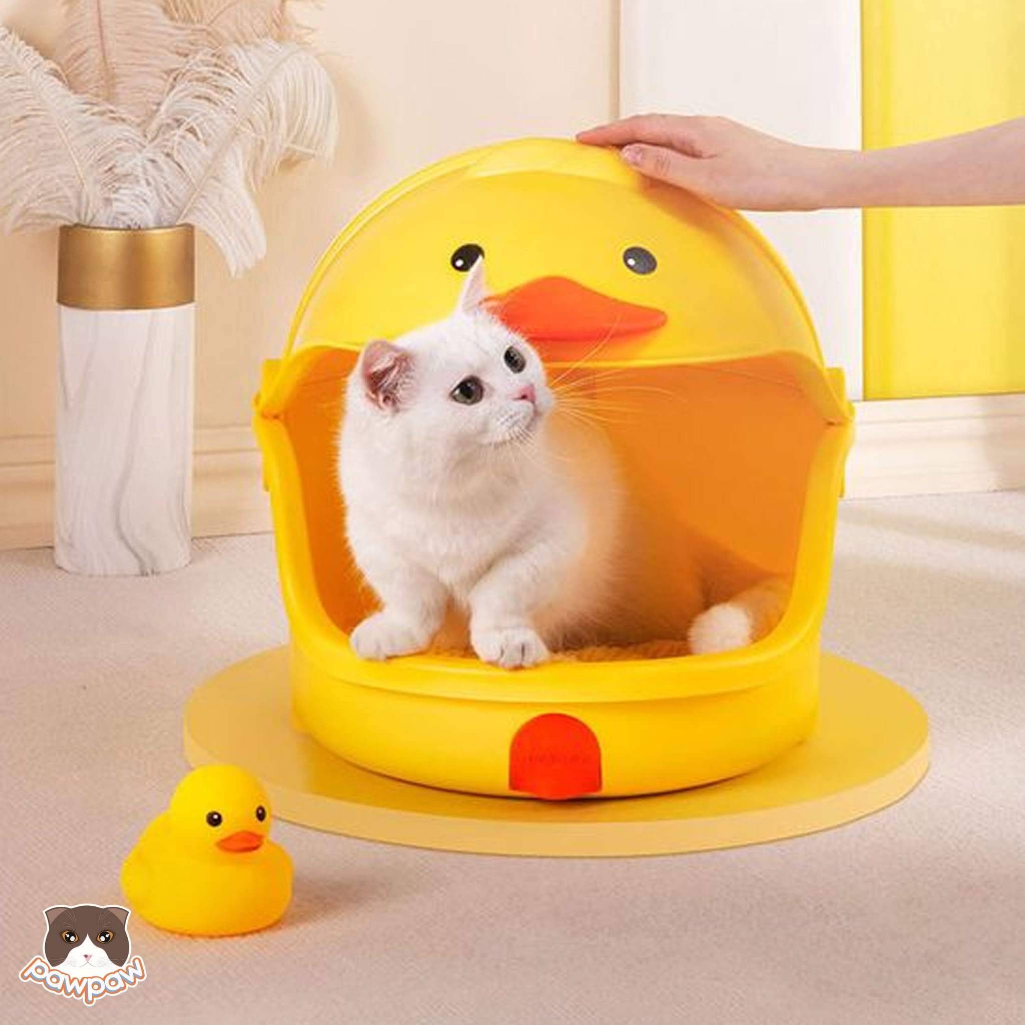  Nhà mèo hình con vịt 