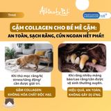  Thức ăn cho chó Altimate Pet Collagen 90g 