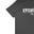 Áo Everlast Tshirt Grey