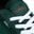 Giày Vans Skate Curren Caples Emerald