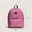 Balo Vans Old Skool Check Backpack Mauvewood