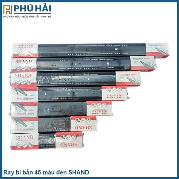  Ray bi bản 45 màu đen SHAND 2T(20B/TH) 