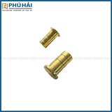  Hố chốt màu vàng phi 14 (chặn cát) 