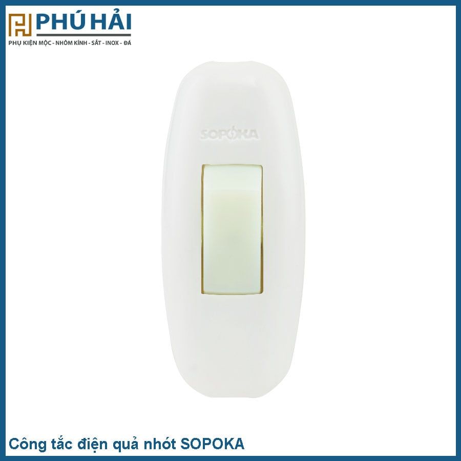  Công tắc điện quả nhót 