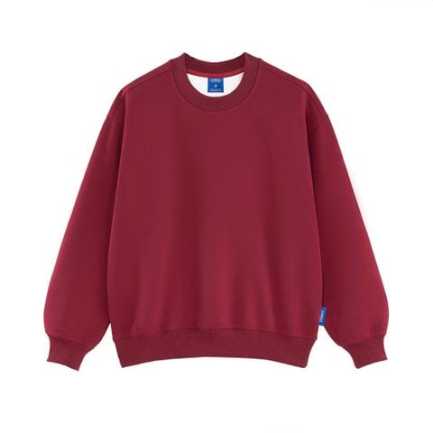 Áo Sweater Basic Nỉ Pc 2 Da - O4F16