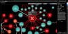 Fortinet Network Detection – Giải Pháp Phát Hiện Và Ứng Phó Mối Đe Dọa Mạng