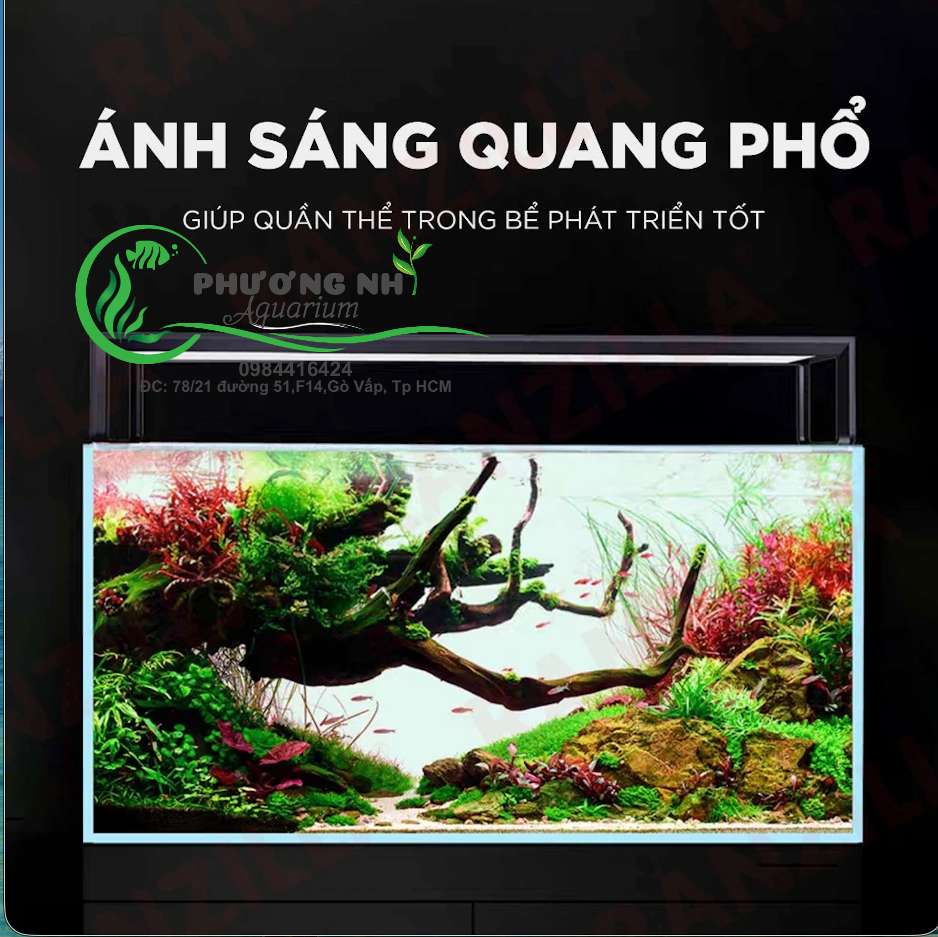 Đèn led RGB JINGYE