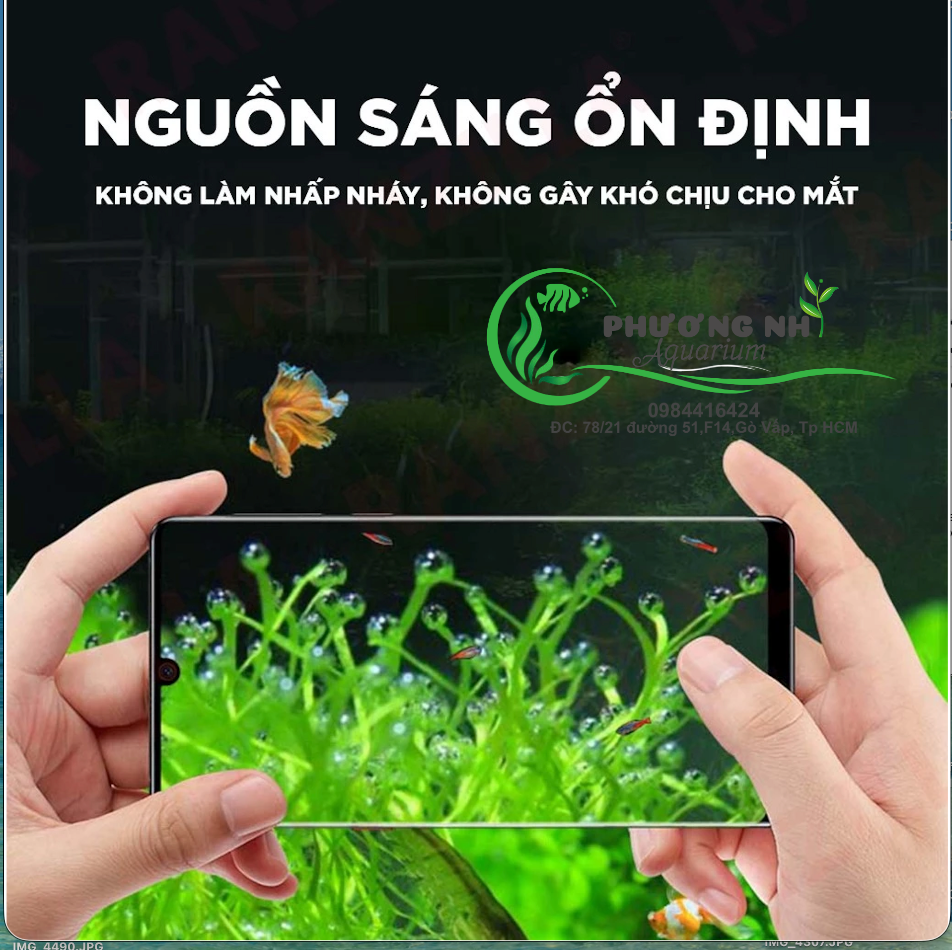 Đèn led RGB JINGYE