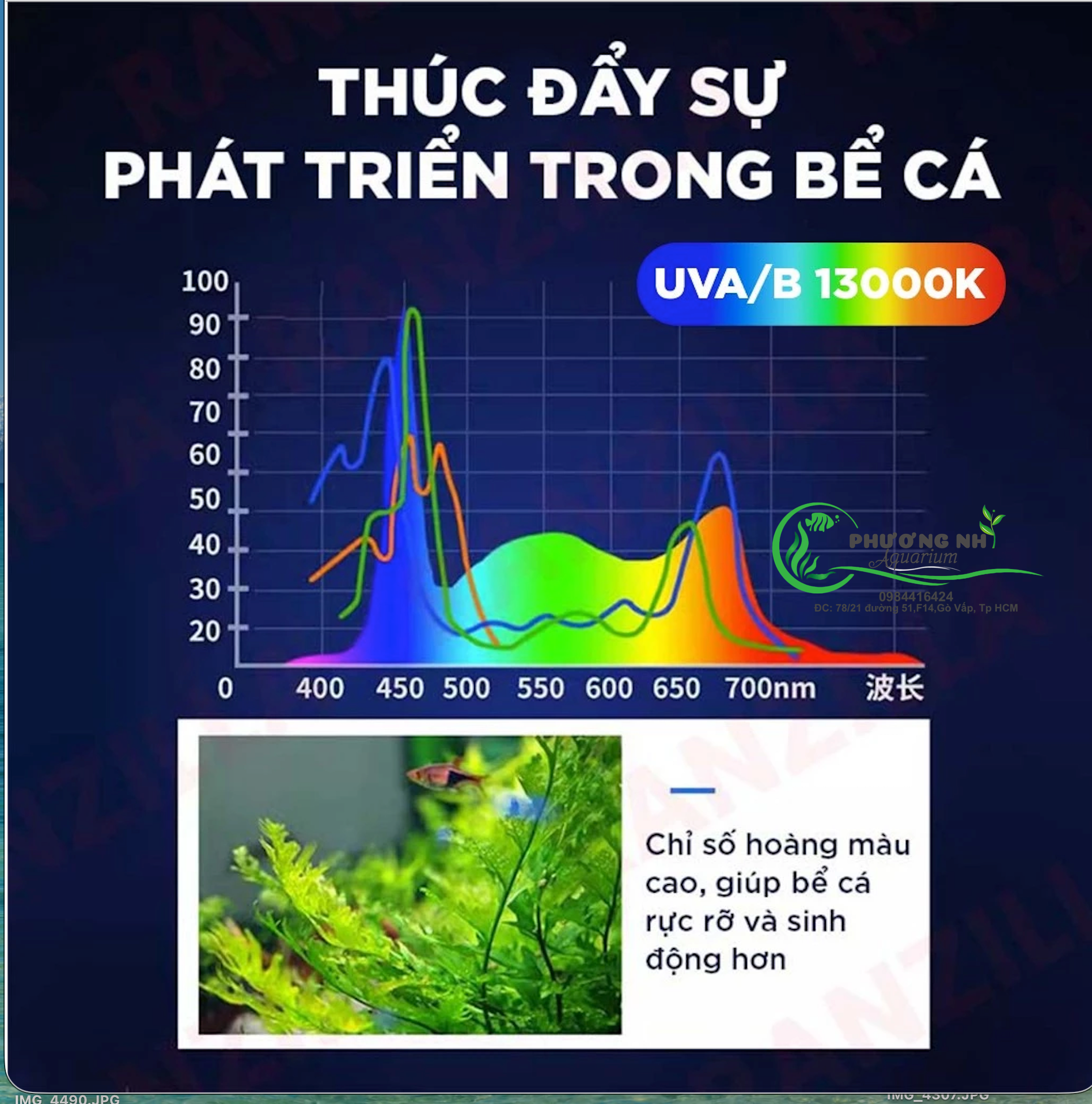 Đèn led RGB JINGYE