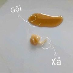 SET DẦU GỘI, XẢ WHOOSPA ESSENCE SHAMPOO