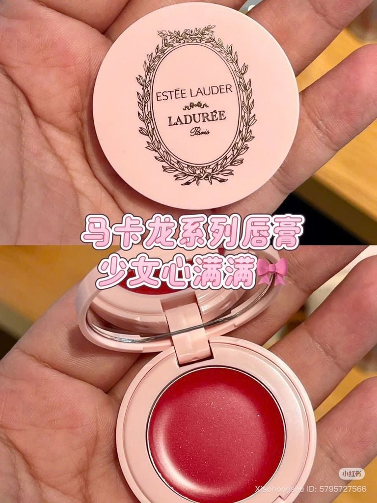 SON DƯỠNG ESTEE LAUDER PURE COLOR MÀU 004