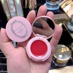 SON DƯỠNG ESTEE LAUDER PURE COLOR MÀU 004