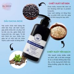 Bộ dầu gội, dầu xả Dr.SEED Evening Musk 500ml Hàn Quốc