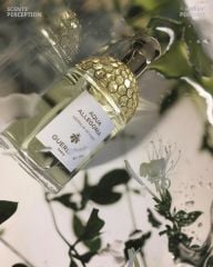 Nước Hoa GUERLAIN Aqua Allegoria Rosa Verde Eau de Toilette