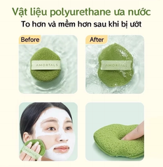 Mút Rửa Mặt Bọt Biển AMORTALS