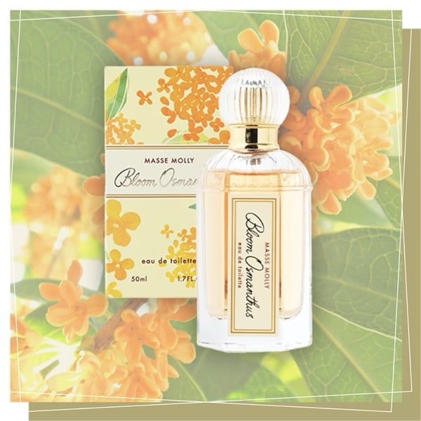 NƯỚC HOA MASSE MOLLY BLOOM OSMANTHUS EDT 50ML