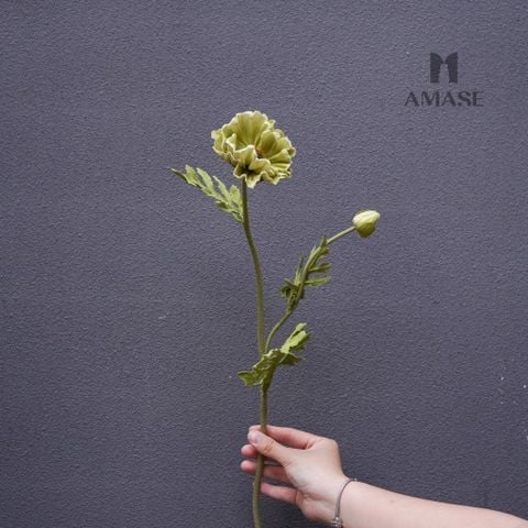 Cành Hoa Anh Túc - Xanh