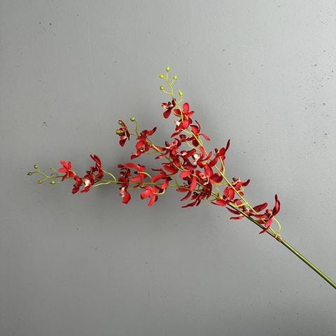 Cành Hoa Lan Đỏ