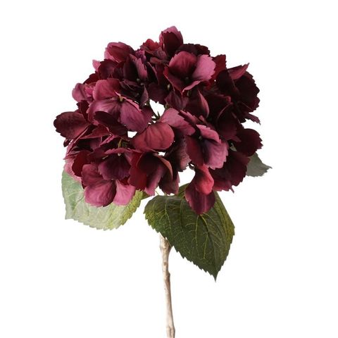 Cành Cẩm Tú Cầu Đỏ Tím