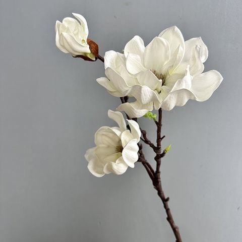 Cành Hoa Trang Trí