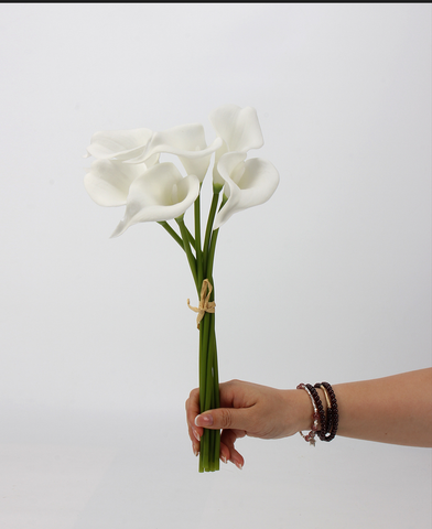 Bó Hoa Rum Nhỏ Trắng (6 cành/Bó)