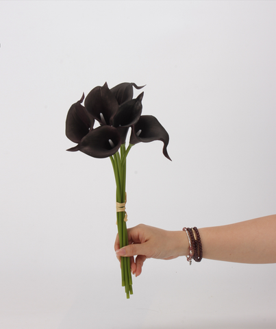 Bó Hoa Rum Nhỏ Đen (6 cành/Bó)